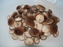 shiitake